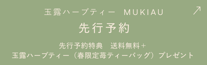 GYOKURO HERBAL BLEND TEA「玉露ハーブティー MUKIAU」先行予約